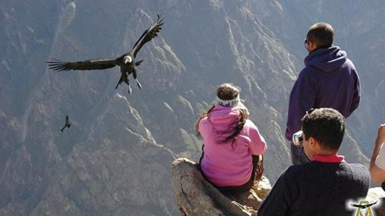 Cañón del Colca