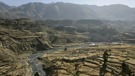 Cañón del Colca