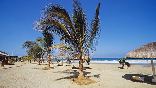 Playa de Máncora