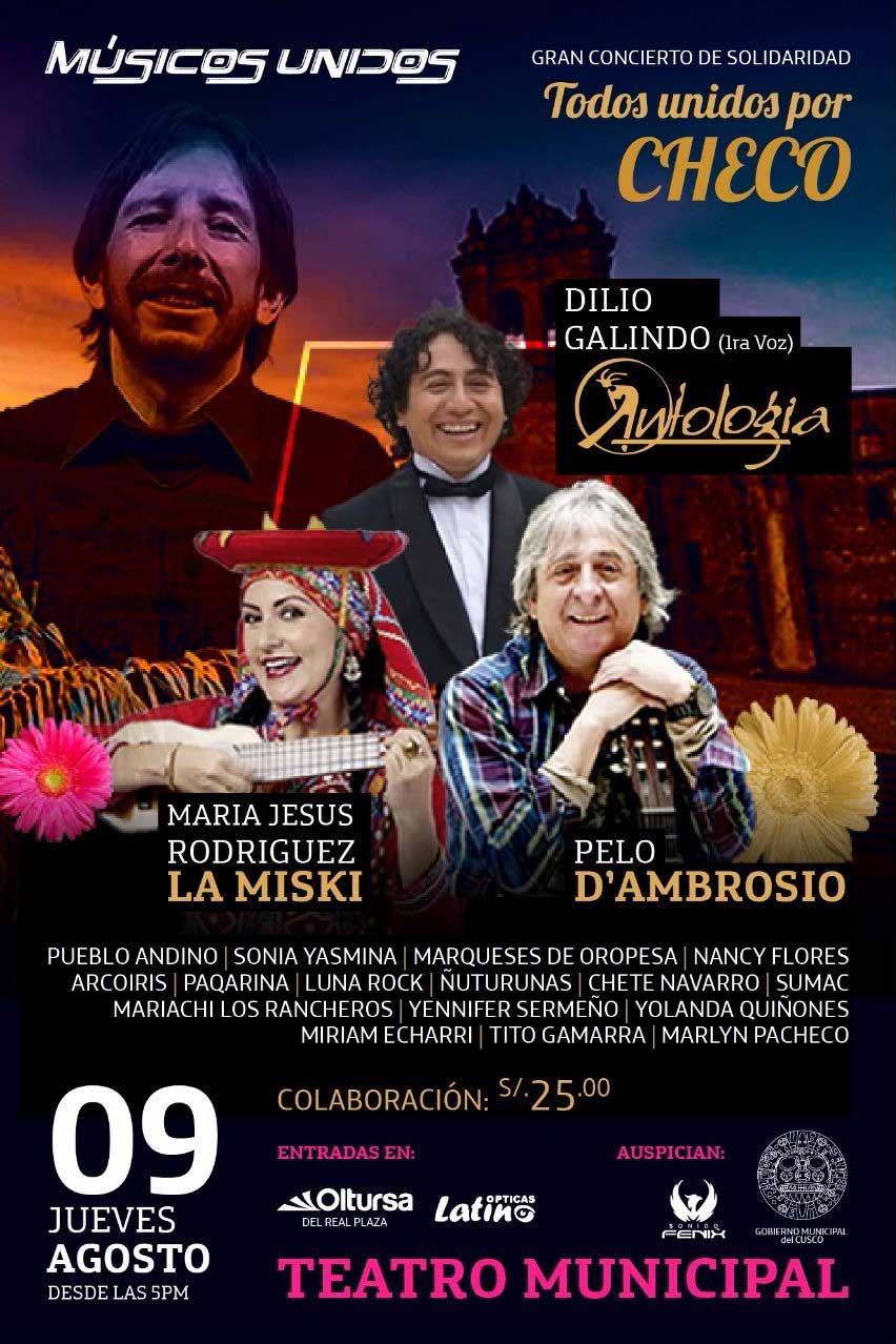 Afiche del concierto