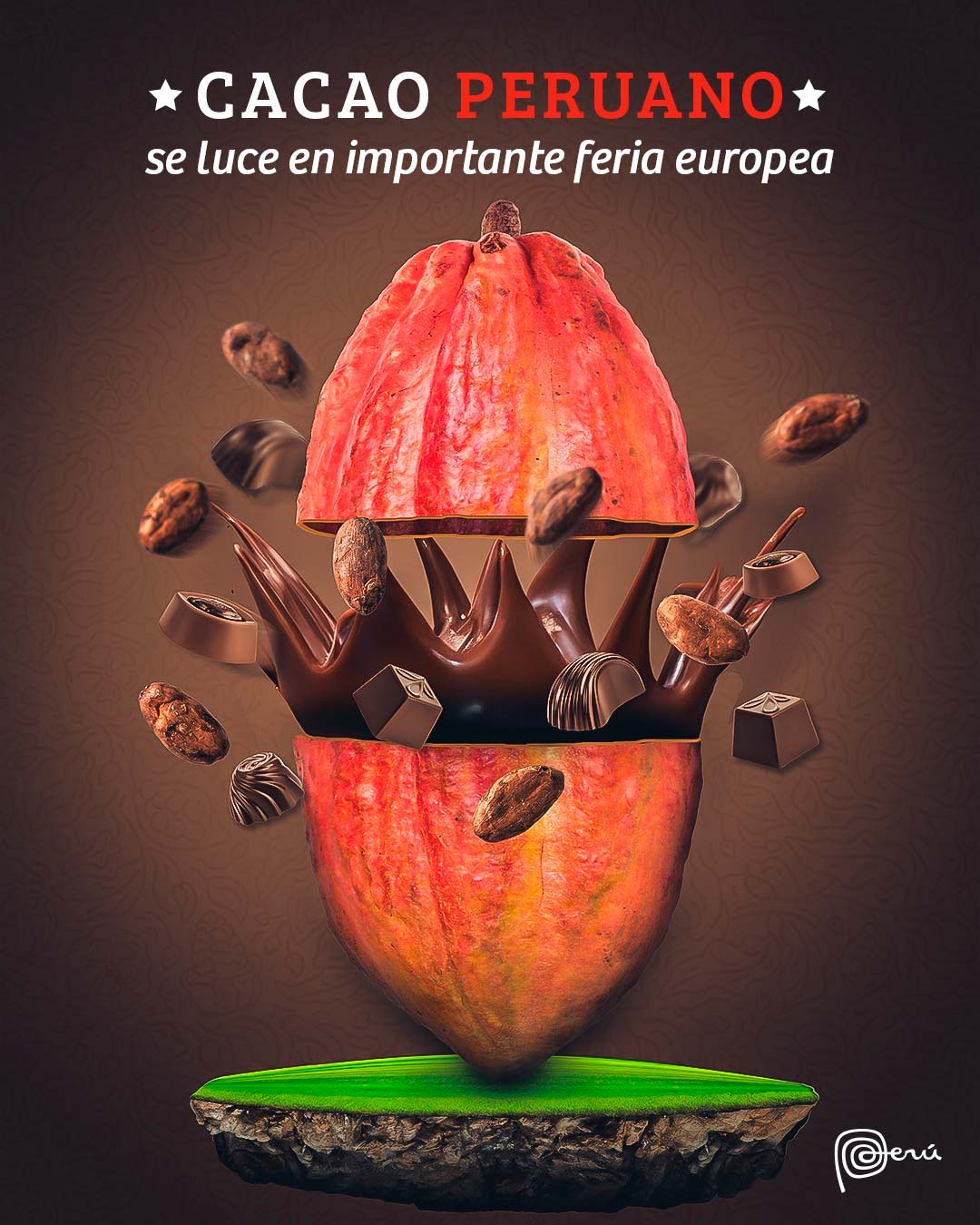 ¡De exportación!: el cacao peruano impulsó posicionamiento y brilla en Europa