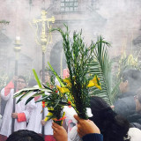 Semana Santa - Domingo de Ramos